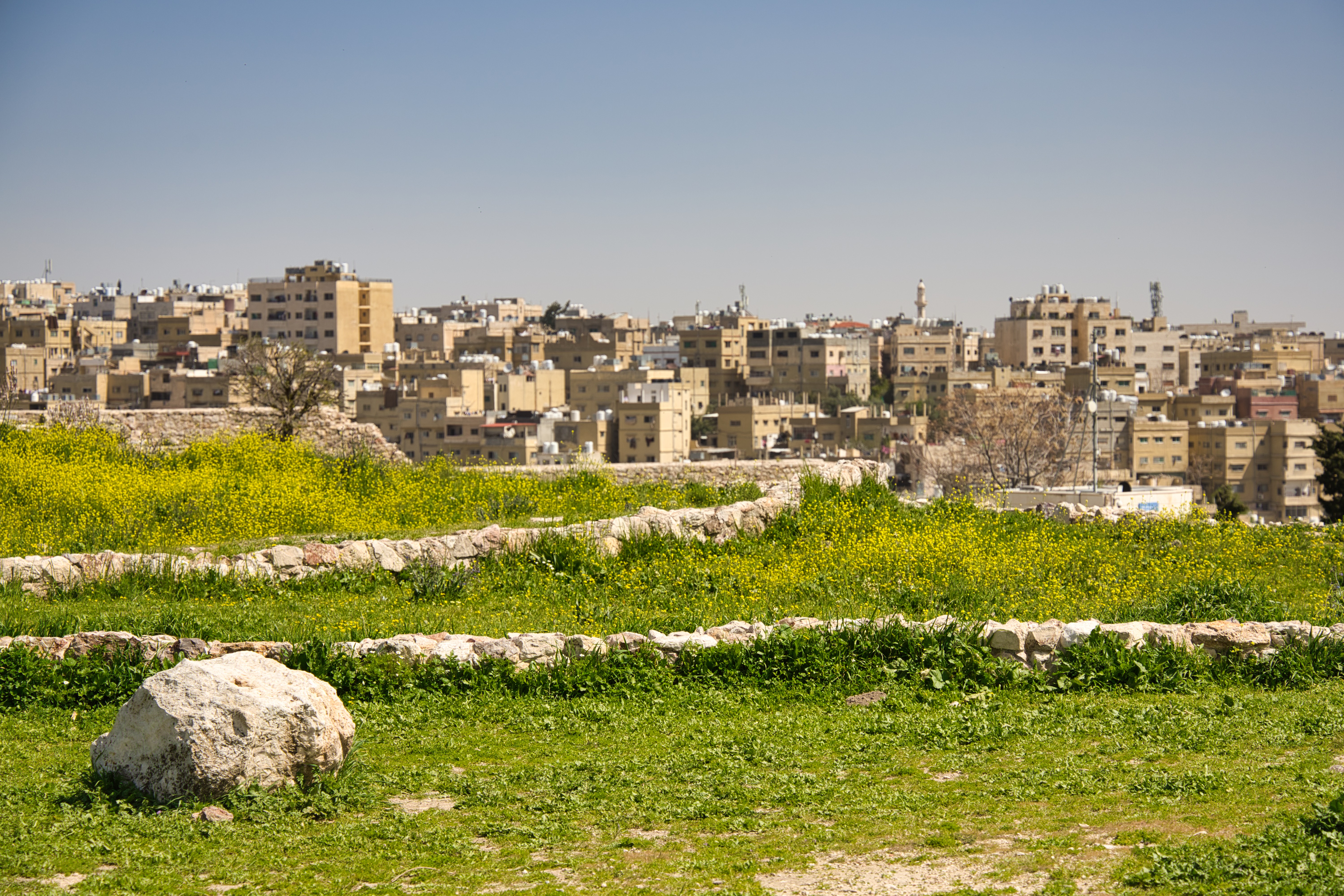 Amman image 3